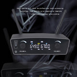 Professional Dual Wireless Microphone System Uhf Dual System Dynamic Handheld Mic for Dj Speech Wedding Band Church Show Party