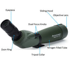 Celestron Regal M2 80ED Spotting Scope with 20-60x Eyepiece (Angled)For Bird Watching, Hunting and Digiscoping