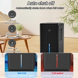 Compressor Home Dehumidifier - For Bathroom, Basement & Indoor Use. Moisture Absorber with EU/US Plug.