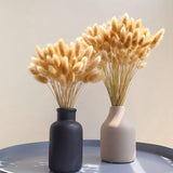 100 Stems Natural Dried Bunny Rabbit Tail Grass, Small Pampas Grass For Boho Decor, Wedding Bouquets