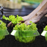 5/10/15/20 Pcs Reusable Slug Plant Collars Snail Protection Rings for Protects Plants To Get Better