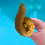 1 PCS Funny Pool Thermometer Floating Poop Prank Pool And Hot Tub Thermometer Poop Summer Swimming Pool Thermometer