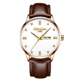 Men's Simple Luminous Fashion Quartz Watch