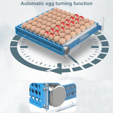 Small Home Automatic Intelligent Egg Turning Parrot Chicken Duck Goose Pigeon Incubator 48/64 Eggs Brooder
