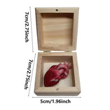 Creative Real Organ Box Prank Toys Toy Spoof Funny Trick Human Heart