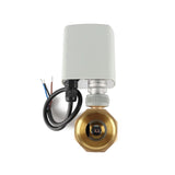 Long-Lasting Manual Power Electric Actuator DN32 w Control Ball Vae Brass Plastic Material OEM ODM Supported Water Media