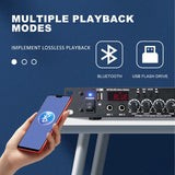 Pre Reverb Effector, Digital Audio Processor, Professional Microphone, Anti Screaming Reverber, Mixer, Intellig