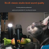 Blue small snow monster USB microphone computer professional capacitor Mic K song recording live Nano