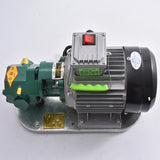 WCB-75 Self-Priming Portable Cast Iron Temperature Electric Gear 750W Small High Viscosity Oil Pump 220V