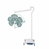 LED surgical shadowless lamp surgical lamp operating room hanging shadowless lamp beauty plastic surgery pet medical shadowless