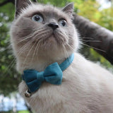 Bow Tie Collar For Dogs Comfortable Cat Adjustable Collar With Bow Dogs Apparel Accessories Lovely Collars For Home Wedding