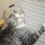 Carriers and Baby Strollers Muzzles Breathable Transparent Helmet for Cat Astronaut Helmet  Anti-Bite Cat Helmet Carriers & Cart