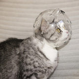 Carriers and Baby Strollers Muzzles Breathable Transparent Helmet for Cat Astronaut Helmet  Anti-Bite Cat Helmet Carriers & Cart