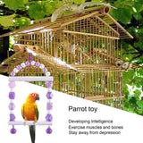 Chewing Toys Parrots Parakeet Swing And Chewing Arch For Birds Birdcage Accessories Oral Care Toy For Cockatiels Parakeet Parrot