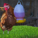 Chicken Nesting Pad Coop Pad For Nesting Washable Chicken Bedding For Coop And Laying Boxes Pad Coop Mat For Nesting Boxes
