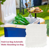 Cold Packs Dry Ice For Coolers And Shipping Frozen Food Usable Cold Packs Dry Ice For Coolers Fishing School Beach