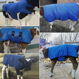 Cow Horse Calf Vest Fabric Velvet Cold Protection Coat Suit Oxford Fabric Coat Wind-Proof and Water-Proof Calf Warm