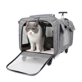 Detachable Pet Trolley Case Cat Going Out Carrying Bag Portable Cat Carrier with Wheel Large Capacity Pet Carrier Breathable