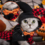 Dog Collar With Bowtie Spooky Pumpkin Spider BowTie Collars For Pets Dogs Apparel Accessories For Photography Wedding Home