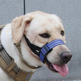 Dog Muzzles Unwanted Chewing Prevent Dogs Mouth Muzzles Night Reflective Large Dogs Training Supplies For Home Outdoor Playing