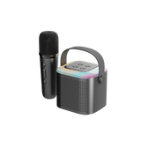 Dual Microphone Karaoke Machine Portable Bluetooth PA Speaker System with 1&2 Wireless Microphones for Home for Adults and Kids