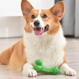 Durable Dog Chew Toys Natural Non-Toxic Anti-bite Puppy Spiky Bone Toy For Small Medium Large Dogs Pet Chew Bone Toy Stick