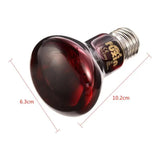 E27 Amphibian Bird Snake Reptile Heat Lizards Turtles Snakes Lamp Small Animal Heating Package 6075100w 220240 Glass