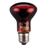 E27 Amphibian Bird Snake Reptile Heat Lizards Turtles Snakes Lamp Small Animal Heating Package 6075100w 220240 Glass