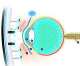 Eye problems instrument Eye massager massager charging eyecare instrument oculomotor nurse