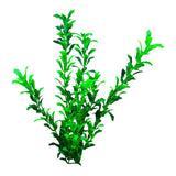 Fish Tank Plants Fish Tank Decoration Simulation Fish Tank Plants Landscape Decoration For Freshwater Terrariums Chameleons