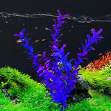 Fish Tank Plants Fish Tank Decoration Simulation Fish Tank Plants Landscape Decoration For Freshwater Terrariums Chameleons