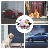French Dog Wall Decals 3D Adorable Car Decal With French Dogs Decorative Creative Decals For Kindergarten Living Room Bedroom