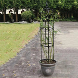 Garden Trellis For Vegetables Metal Indoor Vine Supports Plant Tower Tomato Plant Trellis For Climbing Support Rose Vegetable