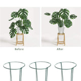 6 Pack Plant Support Stakes Ring Cage Metal Garden Plant Stake Plant Support Ring for Peony Tomato Vegetable Rose Flowers Vine