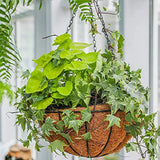 Coconut Palm Cushion For Plastic Flower Pot Square Gardening Mix Soil Lock Design Mat Flower Pot Plant Change Cushion