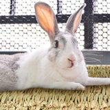 5 Pcs Small Animal Lawn Mat Woven Mattress Rabbit Bedding Nest Chew Toy Bed Toy Suitable For Guinea Pig Parrot Rabbit Hamster