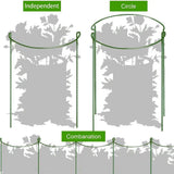 6 Pack Plant Support Stakes Ring Cage Metal Garden Plant Stake Plant Support Ring for Peony Tomato Vegetable Rose Flowers Vine