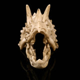 Dinosaur Skull Resin Sculpture Model Triceratops Skeleton Statue Home Bar Teaching Animal Crafts Art Decoration Children Gift