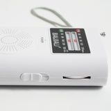Mini Portable Radio Old Vintage Pointer Radio Small Multifunctional FM/AM Radio