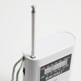 Mini Portable Radio Old Vintage Pointer Radio Small Multifunctional FM/AM Radio