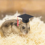 Pet Doctor Hat Pet Graduation S Hat Soft And Cute Pet Bachelor With Red Tassel Hamster Graduation Costume For Party Accessories
