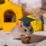Pet Doctor Hat Pet Graduation S Hat Soft And Cute Pet Bachelor With Red Tassel Hamster Graduation Costume For Party Accessories