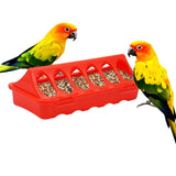 Plastic Flip-Top Poultry Bird Feeder Ground Chicken Bird Feeder Trough Pheasant feeding bucket Quality Chick 20/30cm