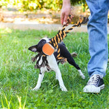 Puppy Chew Toys Pet Teething Chewing Toy Soft Dog Interactive Teething Rope Chewing Toy Puppy Toys Accessories For Small Puppy