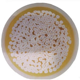 Hollow Fiber Ultrafiltration Membrane UF PES Microfiltration Clean PP Biological Purification System 220V Pump Home Hotel Use