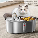 *BAAY US Plug, Cat Water Fountain, Stainless Steel Pet Water Fountain, 3L Capacity, Double Bowl Feeder, Easy Cleaning for Pets