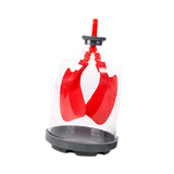 Lung Demonstration Model Experiment Project Science Learning Educational Toy Teaching Tool for Teens School All Ages Children