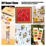 New Natural Dry Flower Leaves for Resin Molds Scrapbooking Jewelry Making