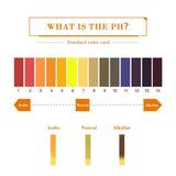 yieryi 20 set pH test strips 80 Strips Full PH Meter PH Controller 1-14st Indicator Litmus Paper Water Soilsting Kit
