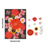 New Natural Dry Flower Leaves for Resin Molds Scrapbooking Jewelry Making
